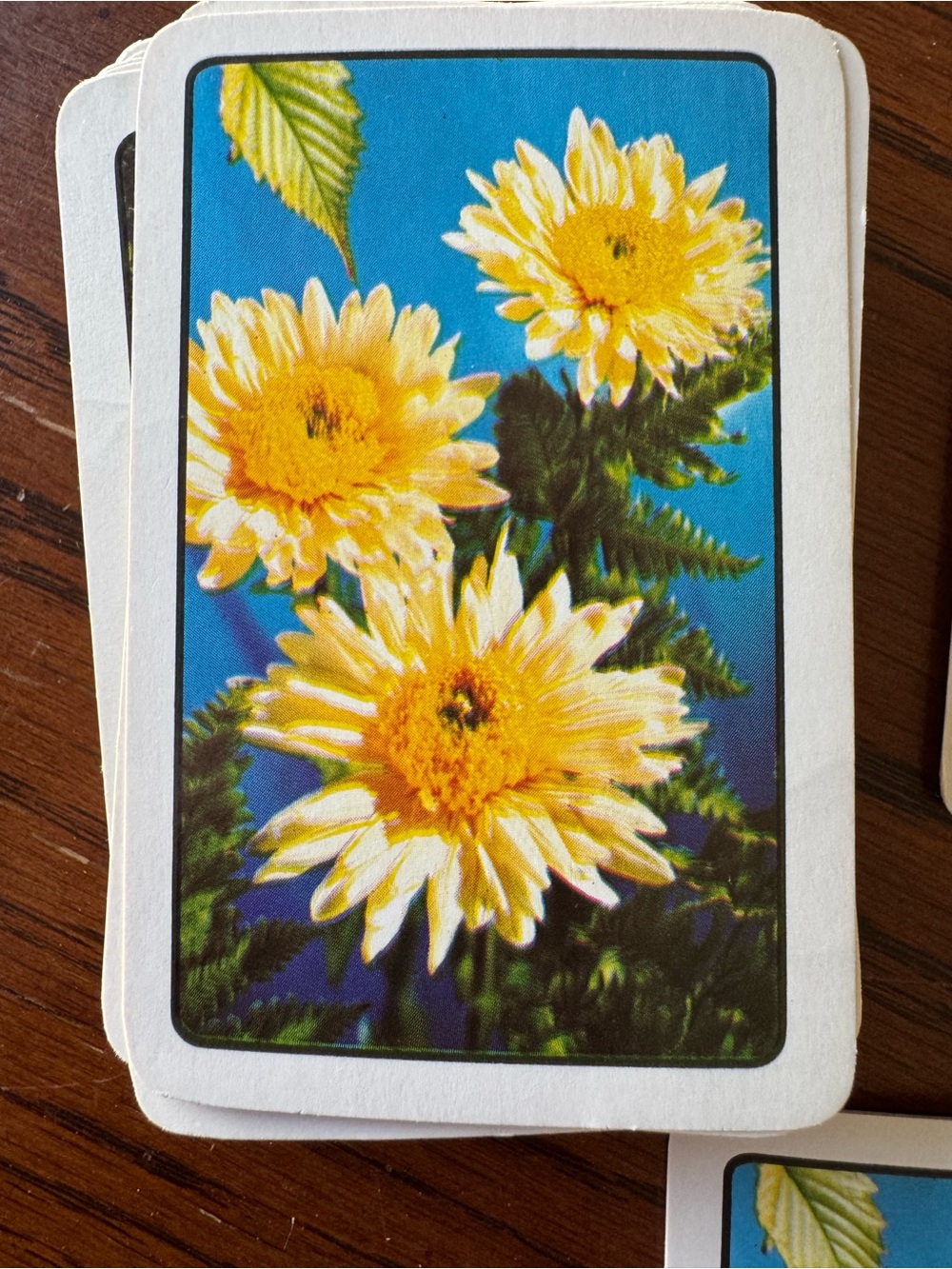 Vintage Yellow Daisy Playing Cards Photo Photograph Arrco Jokers
